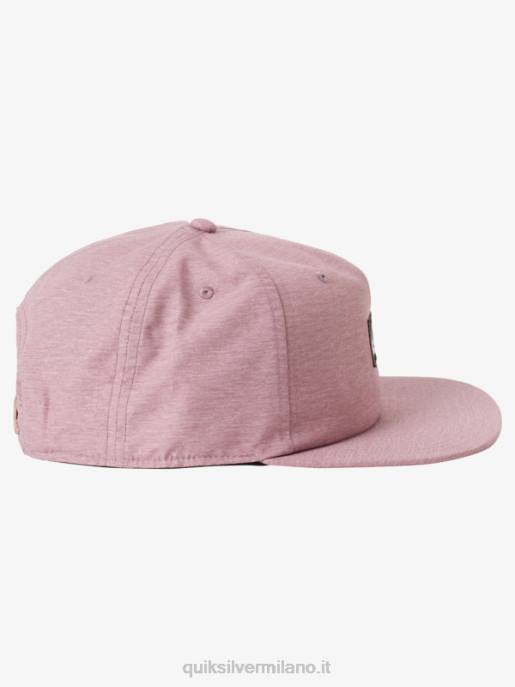 esso Quiksilver uomini cappello snapback dollaro d\'argento erica scura dell\'orchidea HTZR1666