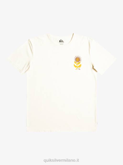 esso Quiksilver uomini maglietta del fiore del sole betulla HTZR1020