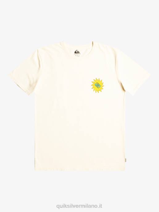 esso Quiksilver uomini maglietta pianeta positivo betulla HTZR1340