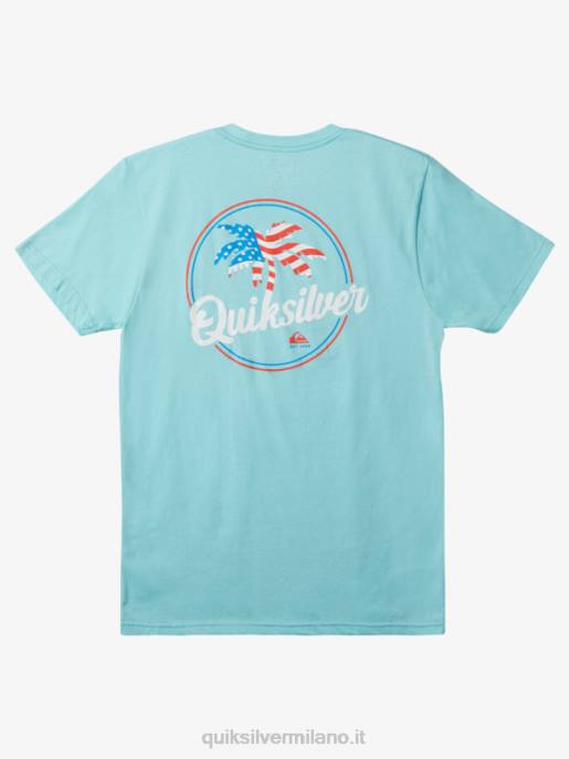 esso Quiksilver uomini maglietta ventilata di palma angelo blu HTZR236