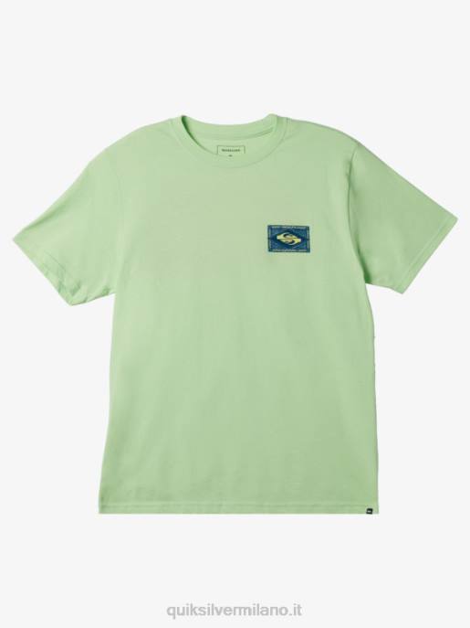 esso Quiksilver uomini maglietta vibrante verde paradiso HTZR178