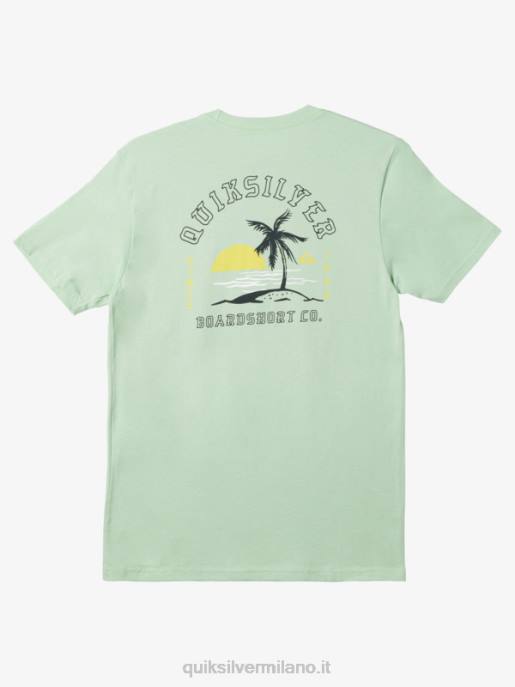 esso Quiksilver uomini solo alla fine t-shirt abete rosso HTZR1162