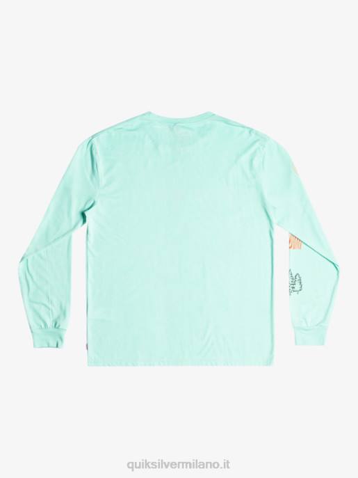 esso Quiksilver uomini t-shirt a maniche lunghe frammento della natura vetro da spiaggia HTZR1037