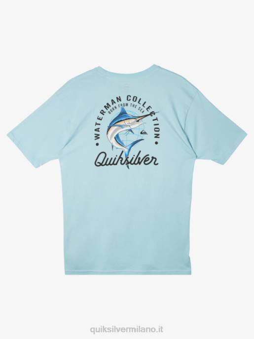 esso Quiksilver uomini t-shirt bellezza waterman in mare acquatico HTZR51