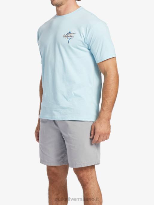 esso Quiksilver uomini t-shirt bellezza waterman in mare acquatico HTZR51