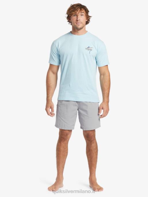 esso Quiksilver uomini t-shirt bellezza waterman in mare acquatico HTZR51