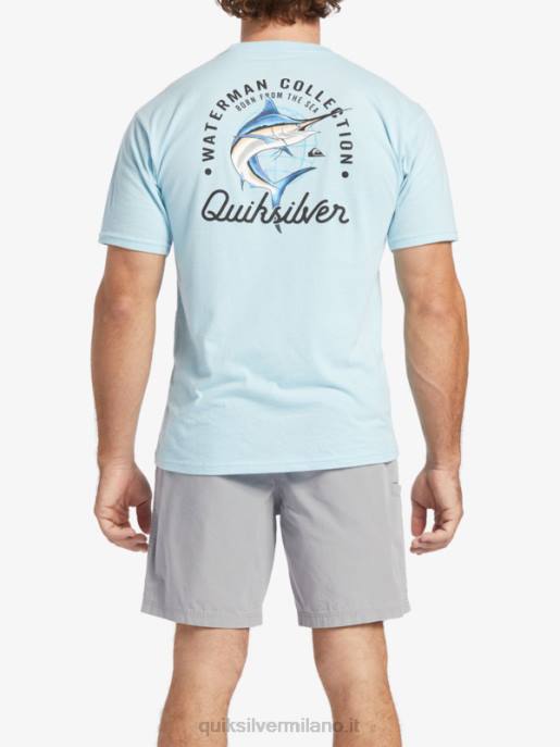 esso Quiksilver uomini t-shirt bellezza waterman in mare acquatico HTZR51