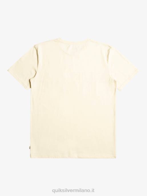 esso Quiksilver uomini t-shirt con taschino a righe surfadelica betulla HTZR1065