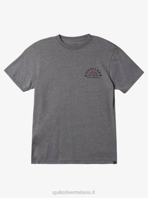 esso Quiksilver uomini t-shirt mod racconti d'acqua erica grigio medio HTZR969