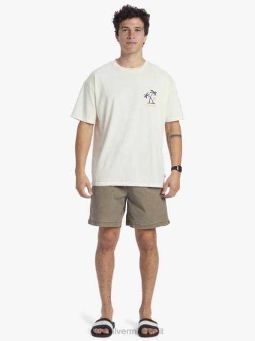 esso Quiksilver uomini t-shirt rituali del tramonto betulla HTZR391