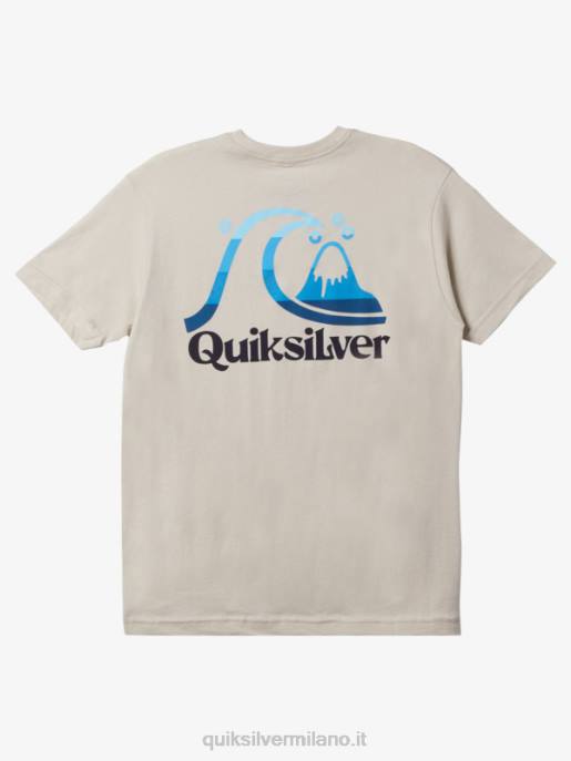esso Quiksilver uomini t-shirt tempo dell\'isola betulla HTZR1626