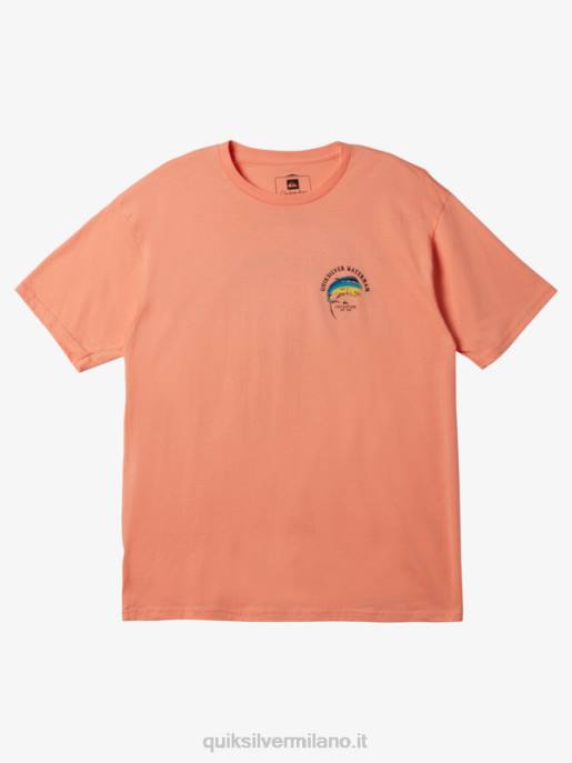 esso Quiksilver uomini tensione dell'acquario sulla maglietta rosa pesca HTZR1342