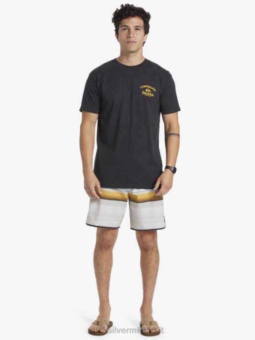 esso Quiksilver x Pacifico uomini maglietta sparatutto dritta asfalto HTZR8
