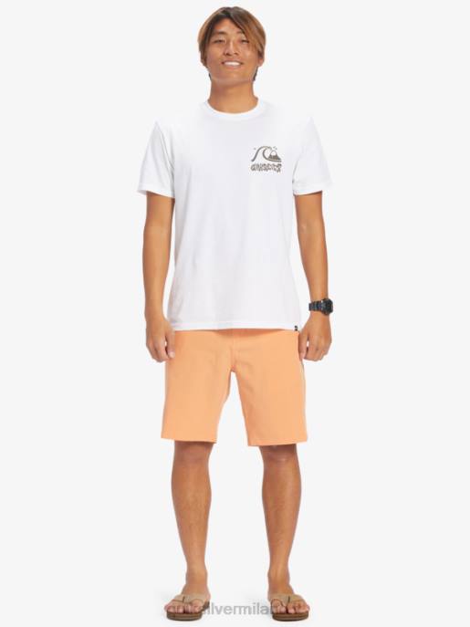 esso Quiksilver uomini Ocean Union anfibio 20 pantaloncini ibridi abbronzatura di rame HTZR143
