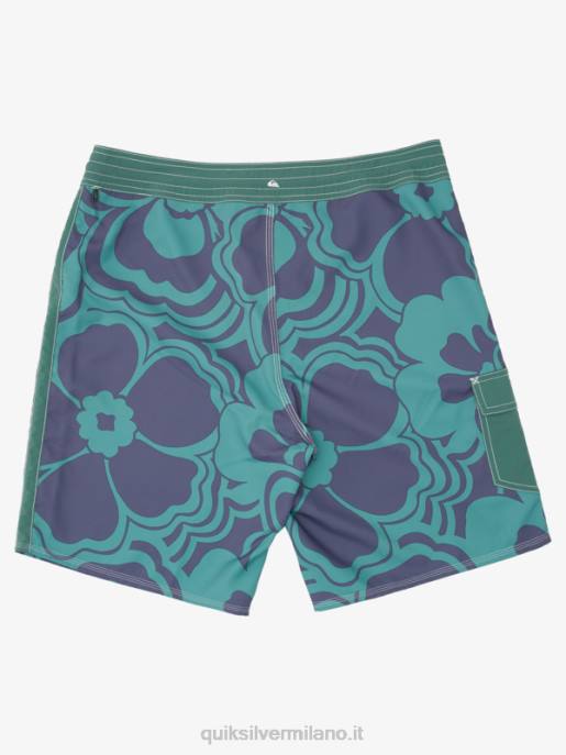 esso Quiksilver uomini Pantaloncini da surf Waterman 19 stampa ritorno al passato fumo di pino ritorno al passato HTZR1437