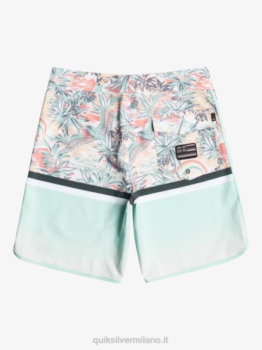 esso Quiksilver uomini Pantaloncini surfsilk division capesante 19 cielo blu HTZR1396