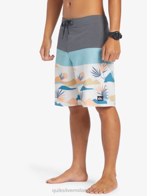 esso Quiksilver uomini Pantaloncini surfsilk panel 20 cancello di ferro HTZR133