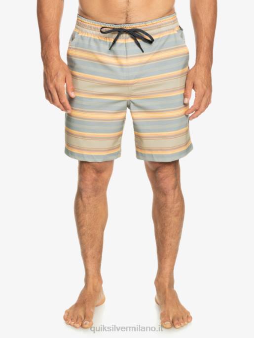 esso Quiksilver uomini Tassare stampa 18 boardshorts anfibi striscia plaza taupe surf days HTZR104