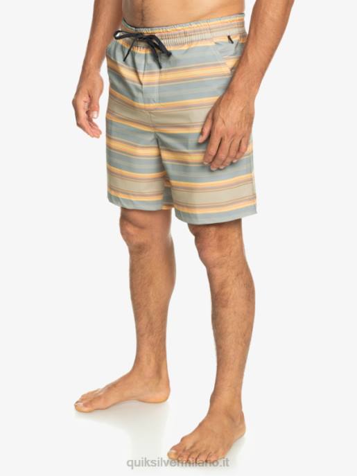 esso Quiksilver uomini Tassare stampa 18 boardshorts anfibi striscia plaza taupe surf days HTZR104