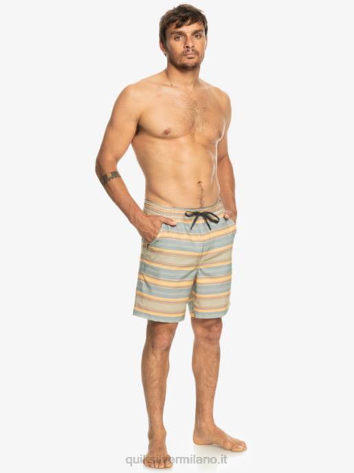 esso Quiksilver uomini Tassare stampa 18 boardshorts anfibi striscia plaza taupe surf days HTZR104