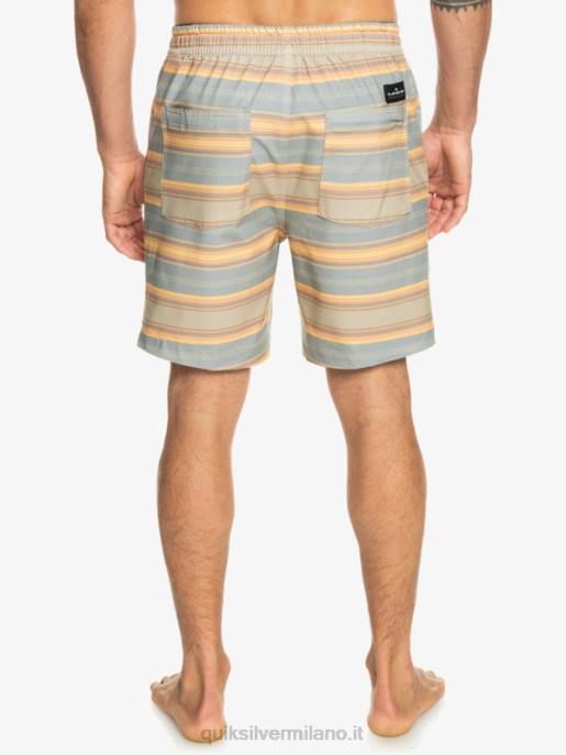 esso Quiksilver uomini Tassare stampa 18 boardshorts anfibi striscia plaza taupe surf days HTZR104