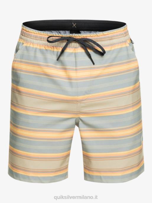 esso Quiksilver uomini Tassare stampa 18 boardshorts anfibi striscia plaza taupe surf days HTZR104
