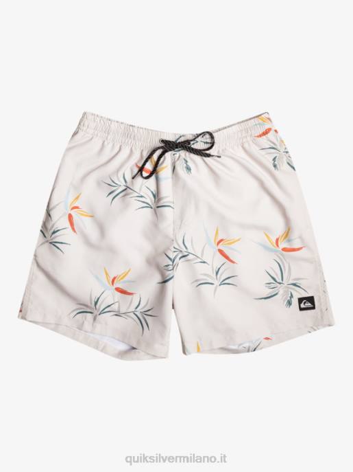esso Quiksilver uomini mescolare tutti i giorni 17 raffiche betulla HTZR676