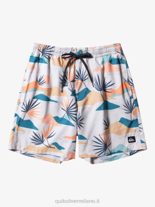 esso Quiksilver uomini mescolare tutti i giorni 17 raffiche betulla HTZR678