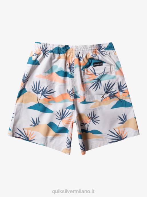 esso Quiksilver uomini mescolare tutti i giorni 17 raffiche betulla HTZR678