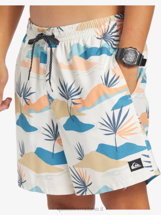 esso Quiksilver uomini mescolare tutti i giorni 17 raffiche betulla HTZR678