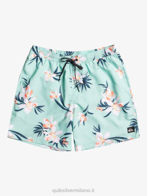 esso Quiksilver uomini mescolare tutti i giorni 17 raffiche vetro da spiaggia HTZR1211