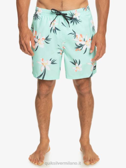 esso Quiksilver uomini mescolare tutti i giorni 17 raffiche vetro da spiaggia HTZR1211