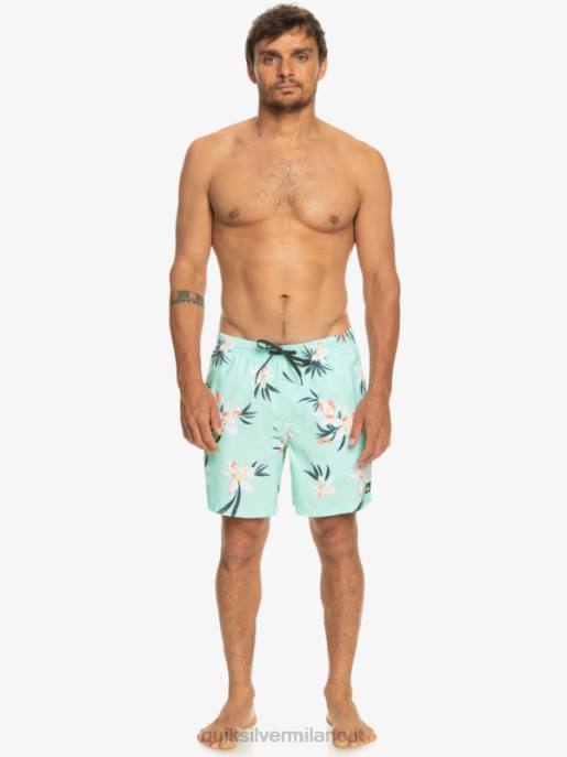 esso Quiksilver uomini mescolare tutti i giorni 17 raffiche vetro da spiaggia HTZR1211