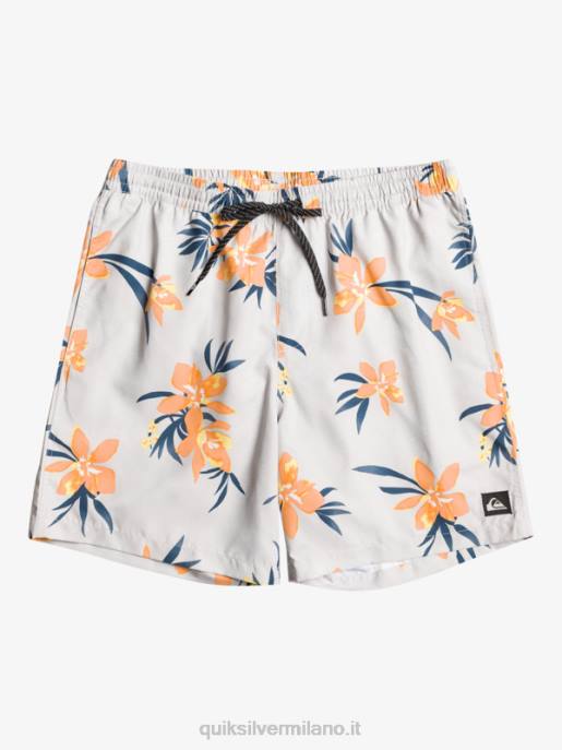 esso Quiksilver uomini mescolare tutti i giorni 17 raffiche viola grigio HTZR1210