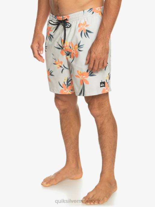esso Quiksilver uomini mescolare tutti i giorni 17 raffiche viola grigio HTZR1210