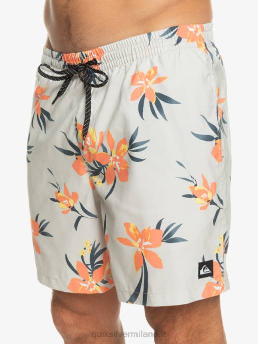 esso Quiksilver uomini mescolare tutti i giorni 17 raffiche viola grigio HTZR1210