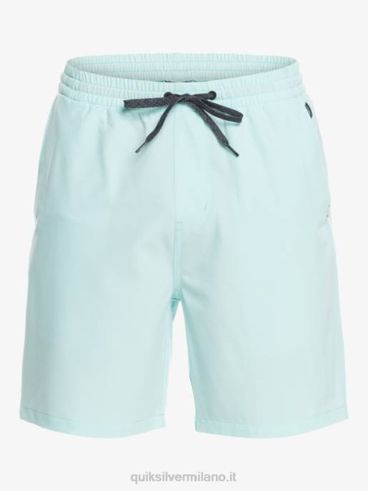 esso Quiksilver uomini pantaloncini anfibi ocean elastic 18 acqua ghiacciata HTZR351