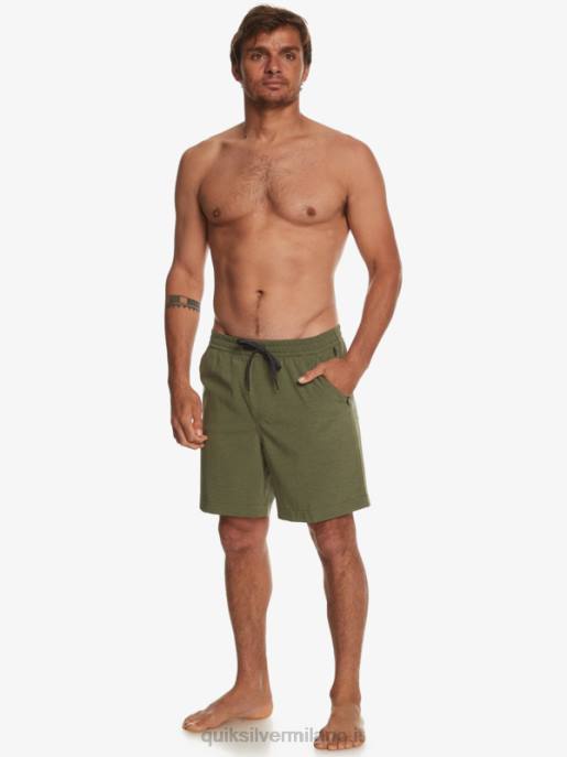 esso Quiksilver uomini pantaloncini da bagno anfibi taxer heather 18 Quadrifoglio HTZR303