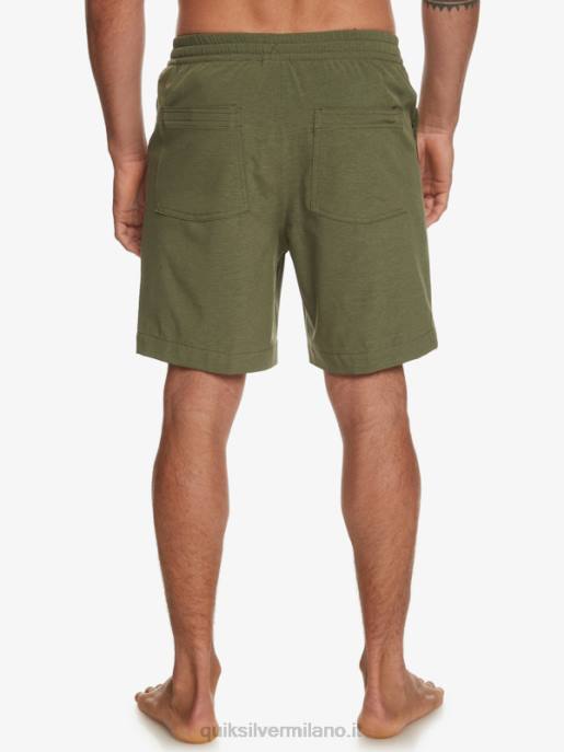 esso Quiksilver uomini pantaloncini da bagno anfibi taxer heather 18 Quadrifoglio HTZR303