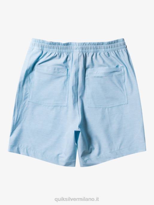 esso Quiksilver uomini pantaloncini da bagno anfibi taxer heather 18 erica blu cielo HTZR304