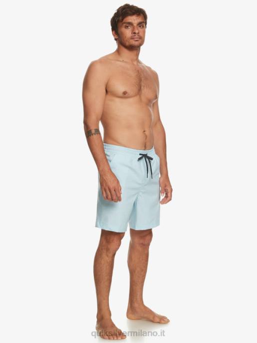 esso Quiksilver uomini pantaloncini da bagno anfibi taxer heather 18 erica blu cielo HTZR304