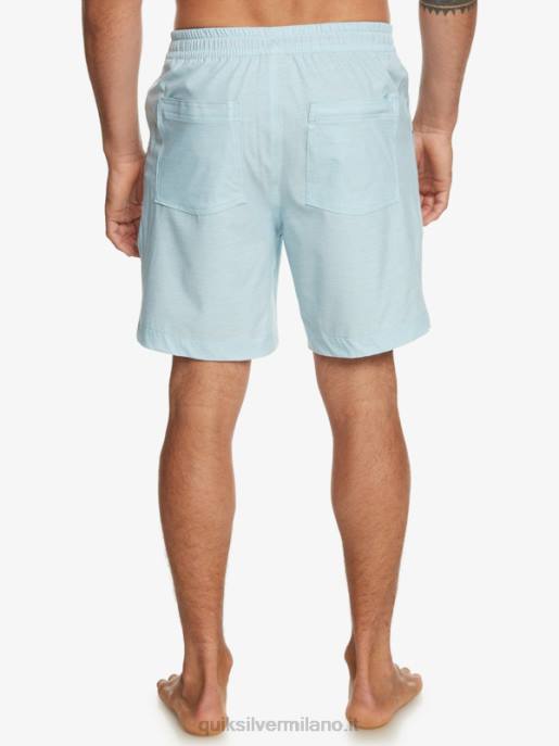 esso Quiksilver uomini pantaloncini da bagno anfibi taxer heather 18 erica blu cielo HTZR304
