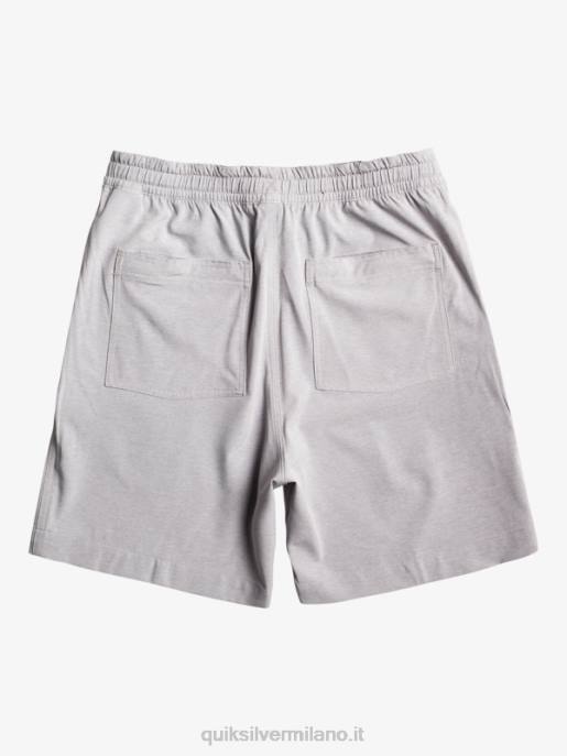 esso Quiksilver uomini pantaloncini da bagno anfibi taxer heather 18 nevischio HTZR301