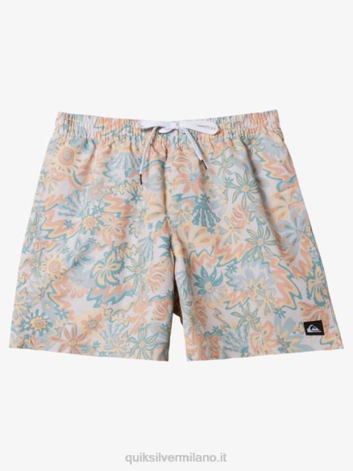 esso Quiksilver uomini remixare 17 raffiche betulla HTZR357