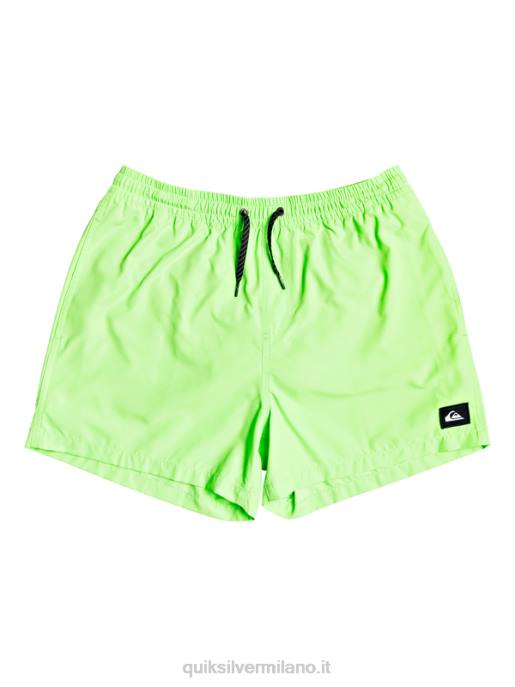 esso Quiksilver uomini tutti i giorni 15 raffiche geco verde HTZR460