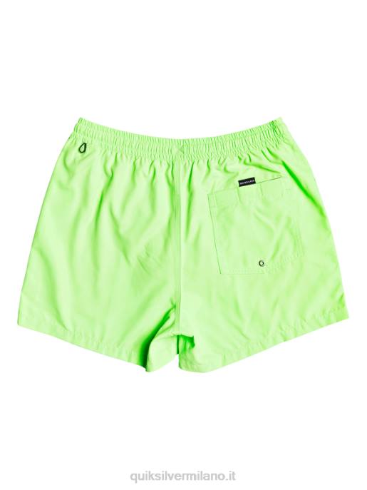 esso Quiksilver uomini tutti i giorni 15 raffiche geco verde HTZR460