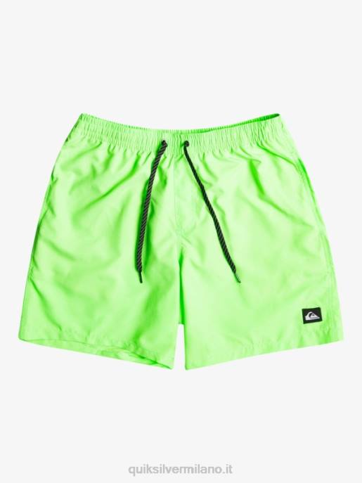 esso Quiksilver uomini tutti i giorni 17 raffiche geco verde HTZR621