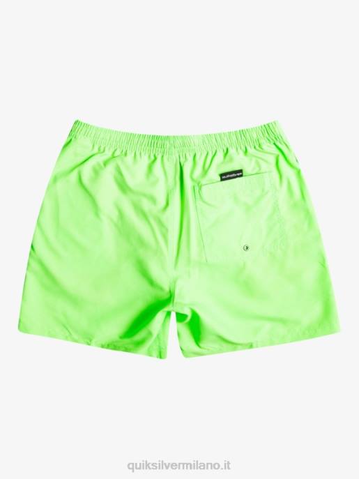 esso Quiksilver uomini tutti i giorni 17 raffiche geco verde HTZR621