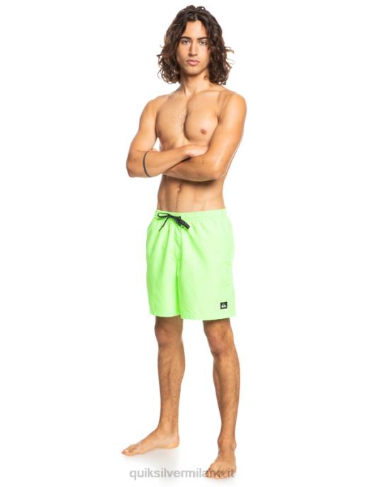 esso Quiksilver uomini tutti i giorni 17 raffiche geco verde HTZR621