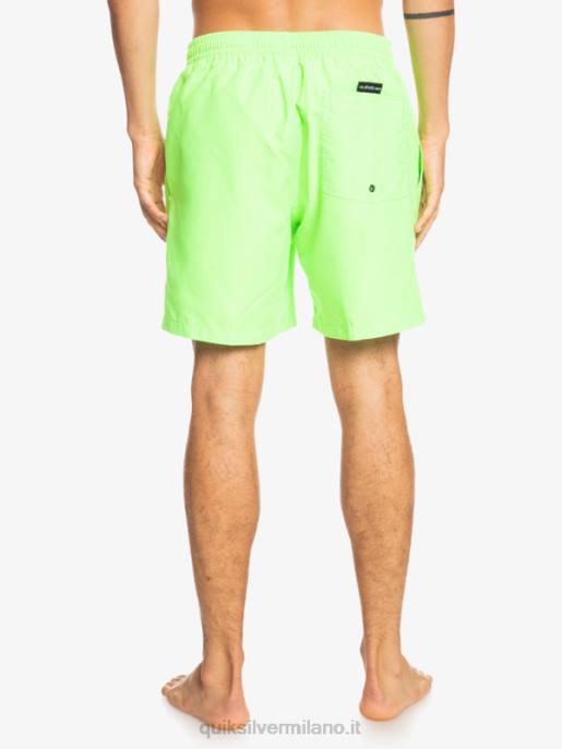 esso Quiksilver uomini tutti i giorni 17 raffiche geco verde HTZR621